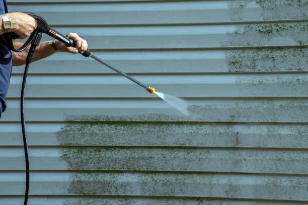 Best Residential Exterior Washing  in Spring Valley, NV